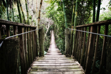 Old wooden suspension bridge over the Estero River in Florida surrounded by tropical vegetation stylized and desaturated. 