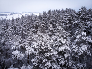 Winter landscape of frosted trees covered with snow