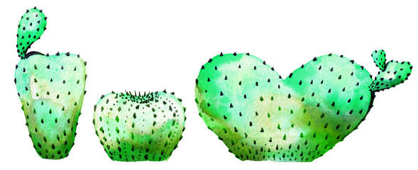 Watercolor set of cactus isolated illustration on a white background