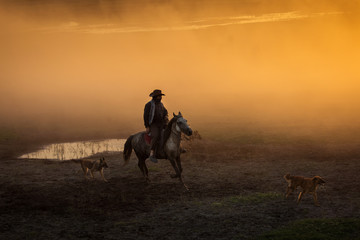 Fototapeta na wymiar Cowboy with his dogs at sunset with dust in background