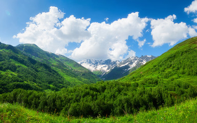 Alpine mountains landscape
