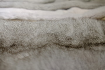 Mink fur for the production of fashionable fur coats background for the catalog