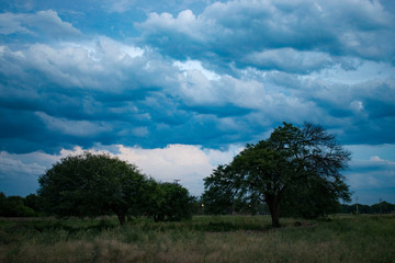 Obraz premium Atardecer con Nubes