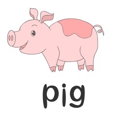 Children`s word card - english language: pig, farm animal, pet, line art, cartoon illustration, vector outline, learning, vocabulary, education