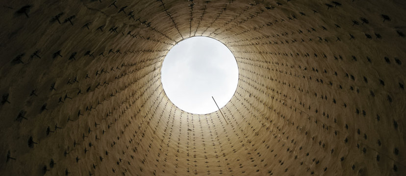 Torch of the closed type, look from within