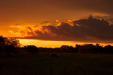 Atardecer Anaranjado Con Nubes
