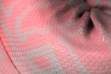 Snake living coral skin leather texture