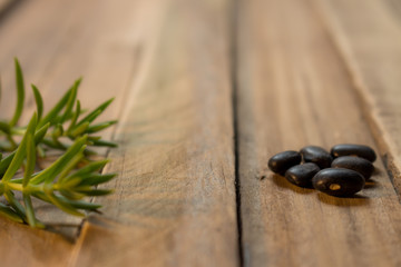 Some green branches and some seeds on a wooden rustic board.