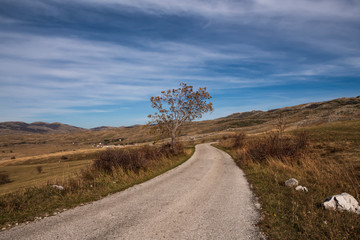 Mountain landscape in the autumn cloudy day
