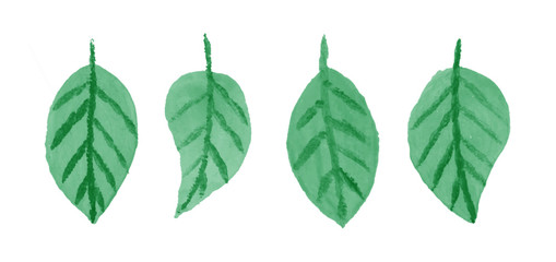 Leaves