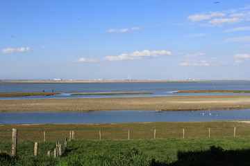 a high water refuge for birds on the salt marshes with high tide in winter in holland