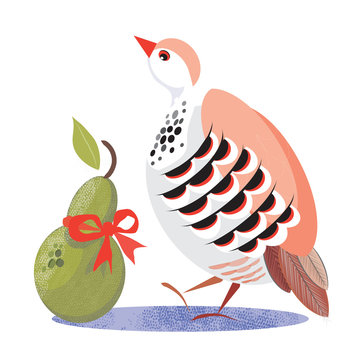 Colourful Christmas partridge from 'The twelve days of Christmas' song