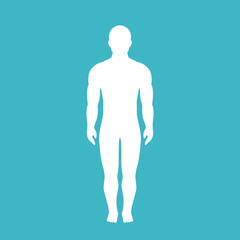 Human body vector silhouette