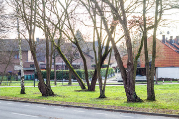 different trees stand without foliage along the small path in the forest