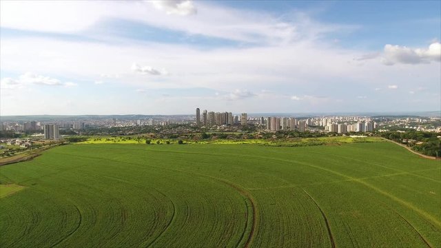 Aerial image of sugarcane plantation near area of a big city. The advance of cities in rural areas concept.