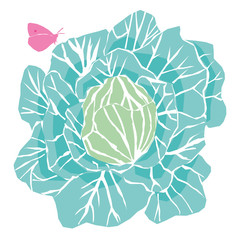 Cabbage with green leaves viewed from above with a pink butterfly