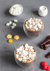 Glass cup of hot chocolate or cocoa drink with marshmallows. Traditional winter or autumn hot drink. Holiday concept, Selective focus.