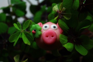 Marzipanschwein im Glücksklee