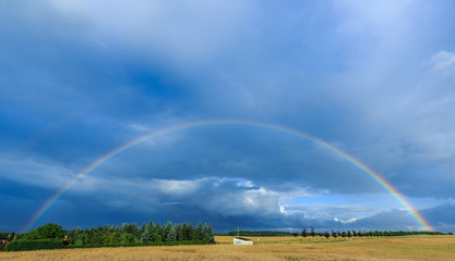 Regenbogen über Feld