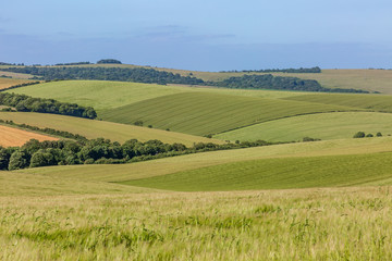 Fototapeta na wymiar Rolling Sussex countryside on a sunny summer's day