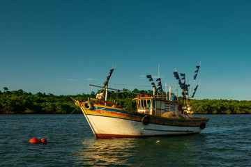 Fototapeta premium Boat on the bayou, Brazil, Barco no Manguezal de Santa Cruz, Aracruz, Espírito Santo , Brasil