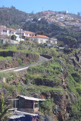 view of the city funchal madeira