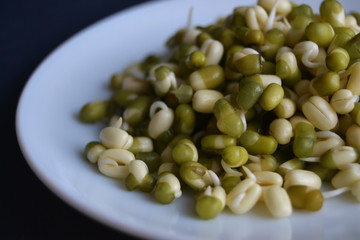 Mung bean sprouts in the white plate. fresh raw organic vegan food. 