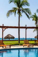 Tropical Beach With Palm Trees