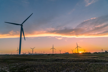 Obraz premium Windmills at sunset in Brazil