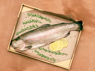 rainbow trout decorated with rosemary, lemon and spices on paper and dried table