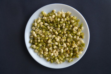 Mung bean sprouts in the white plate. fresh raw organic vegan food. 
