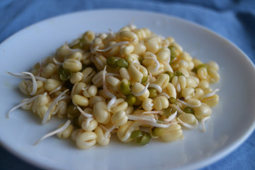 Mung bean sprouts in the white plate. fresh raw organic vegan food. 