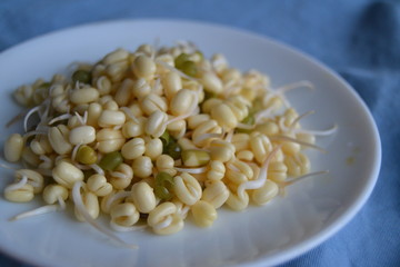 Mung bean sprouts in the white plate. fresh raw organic vegan food. 