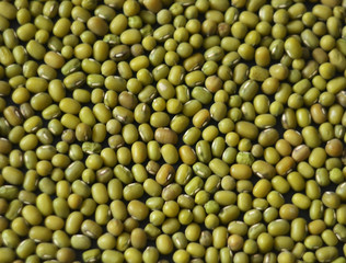 Mung bean fresh raw organic vegan food. 