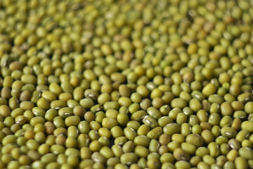 Mung bean fresh raw organic vegan food. 