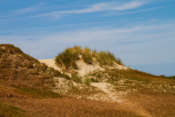 Sand dune with gras