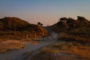Sand track in the dunes