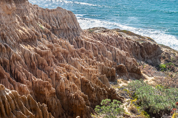 Landscape and ocean view from one of the hiking trails at Torrey Pines State Reserve and Beach in San Diego, California