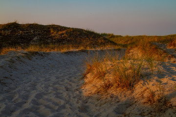 Sand track in the dunes