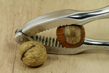 haselnuss und kleine walnuss im knacker