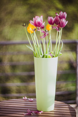 Beautiful purple and yellow tulips in green vase on wooden table outside. Out of focus concept