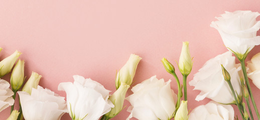 Obraz na płótnie Canvas White flowers on pink background
