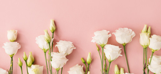 White flowers on pink background