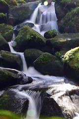 Triebergerwasserf&auml;lle