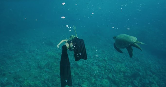 Gorgeous freediver woman swims alongside sea turtle