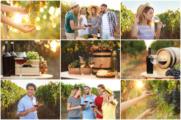 Set with different kinds of grapes, wine and people at vineyard