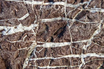 Texture of side stone with white streaks