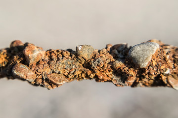 Rusty rebar with overgrown stones