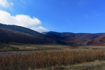 Landscape with mountains. At their base is the plain with tall yellow grasses