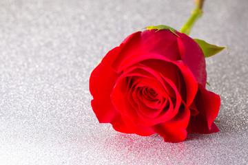 Single Red Rose on a Silver Table